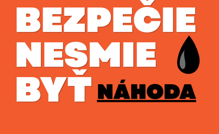 Spoločná výzva organizácií poskytujúcich špecializované podporné služby k ochrane žien zažívajúcich domáce násilie a ich detí